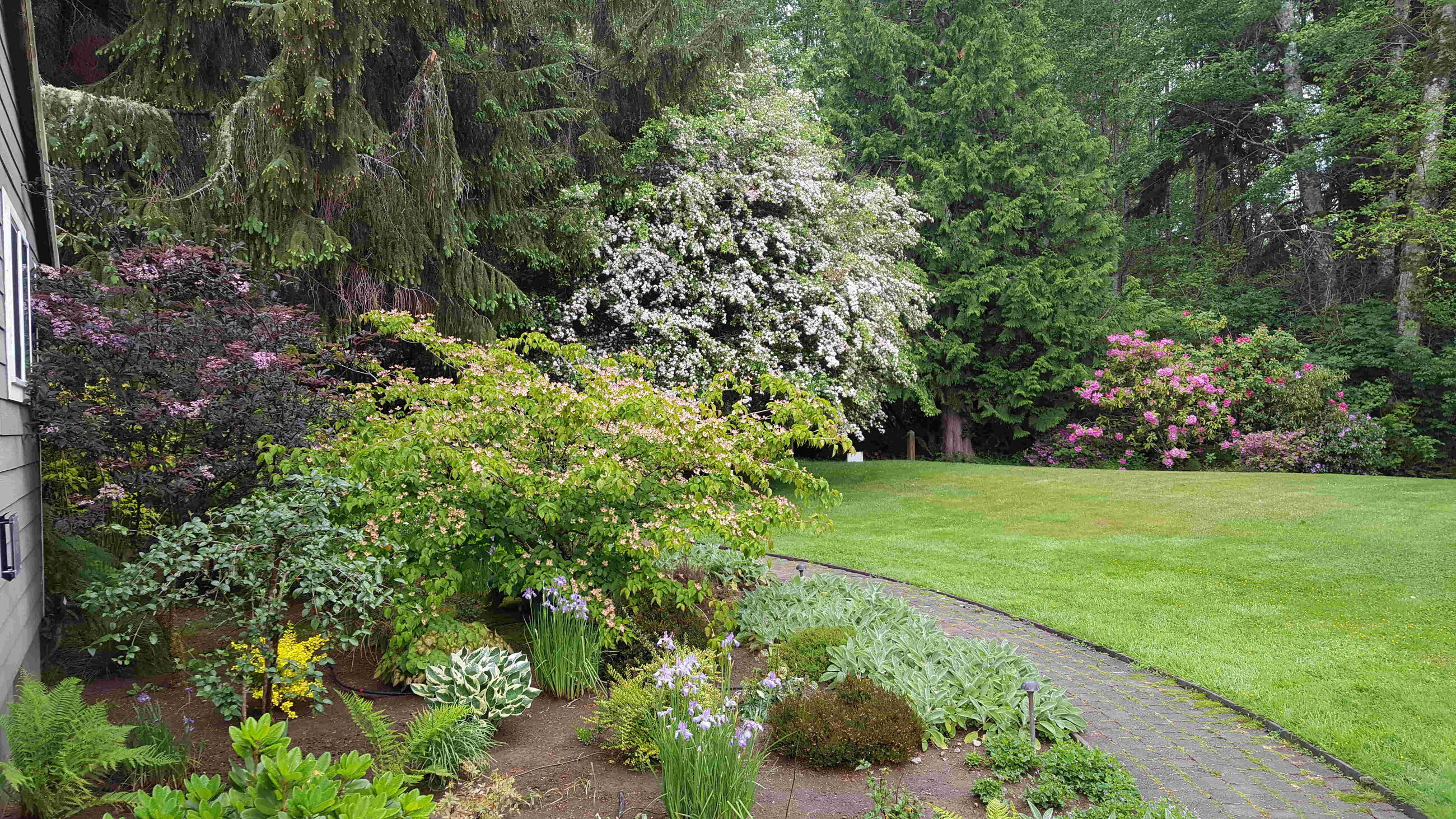 East Garden in May