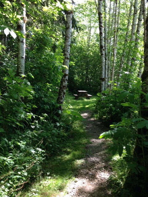 East path picnic table