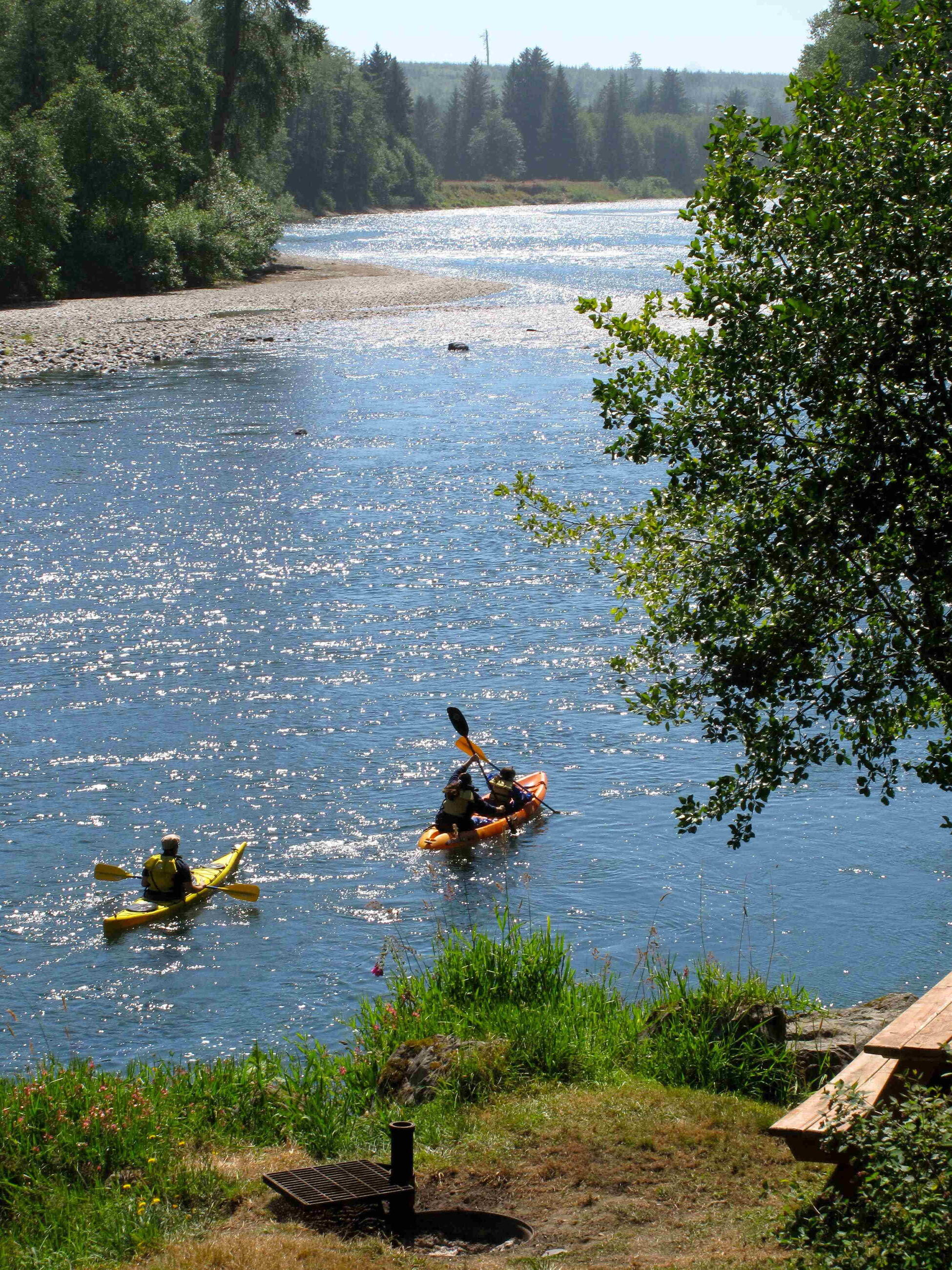 Kayaking the Quillayute in June