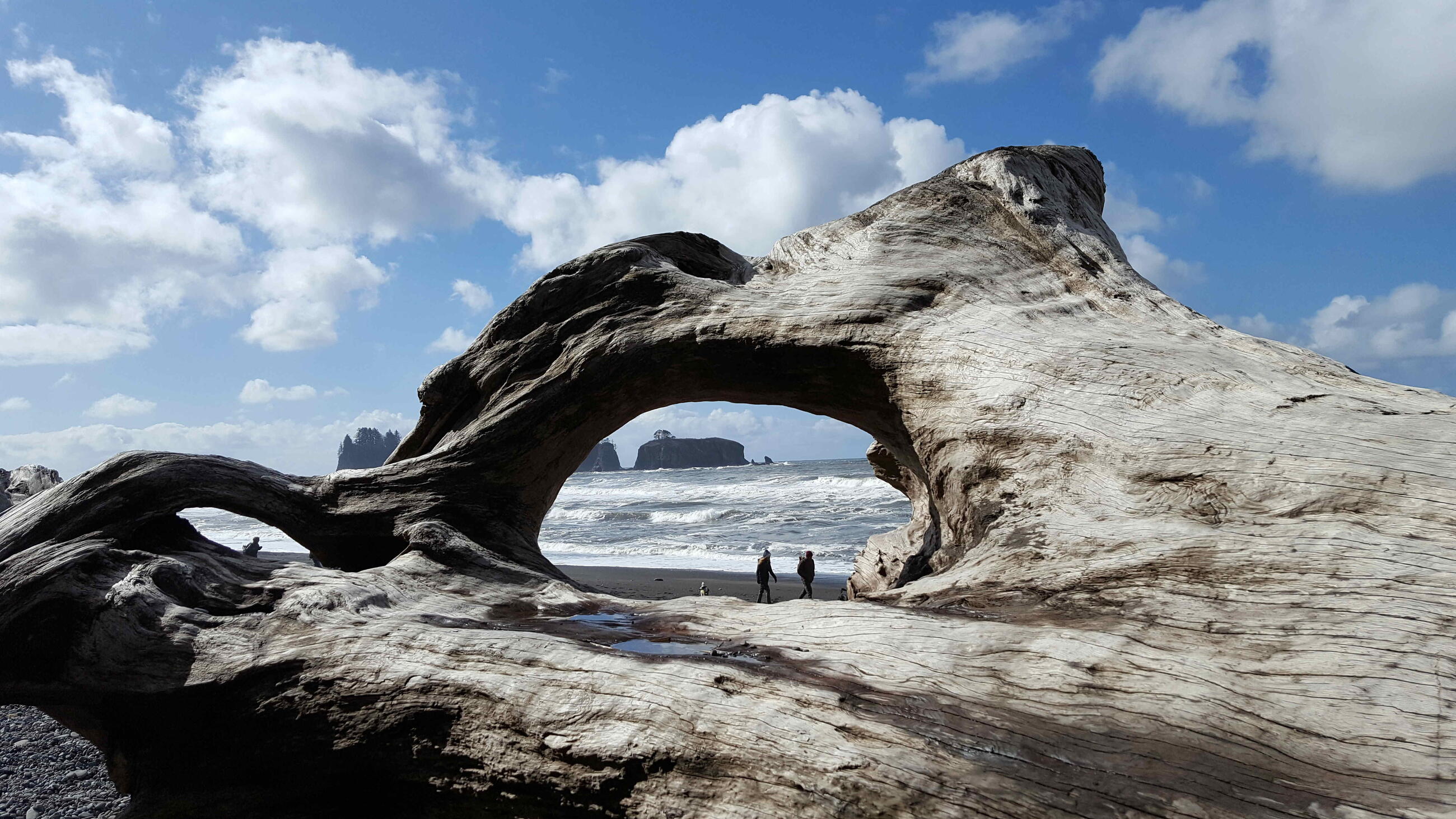Rialto Beach in March
