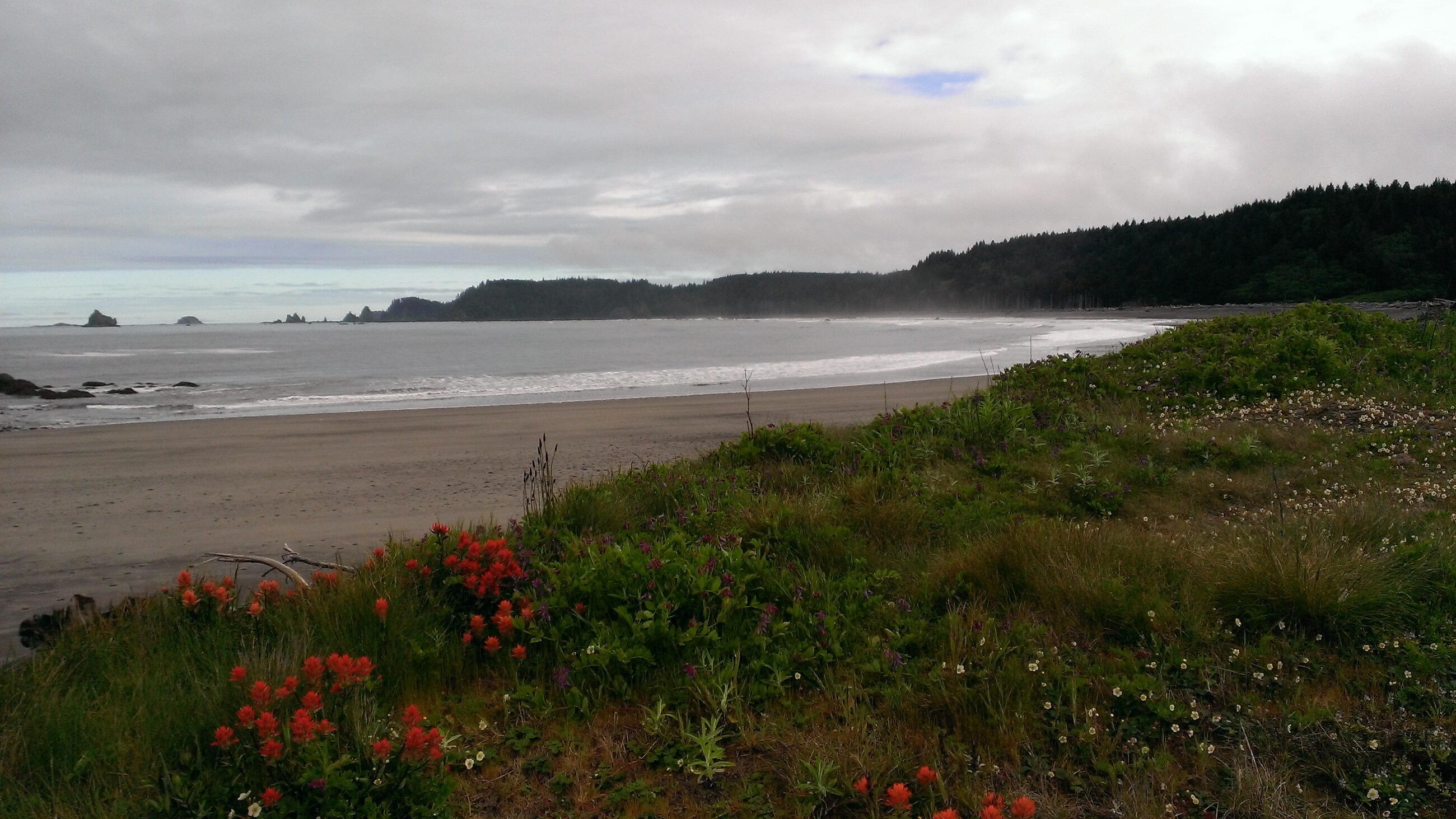 Rialto Beach morning in May