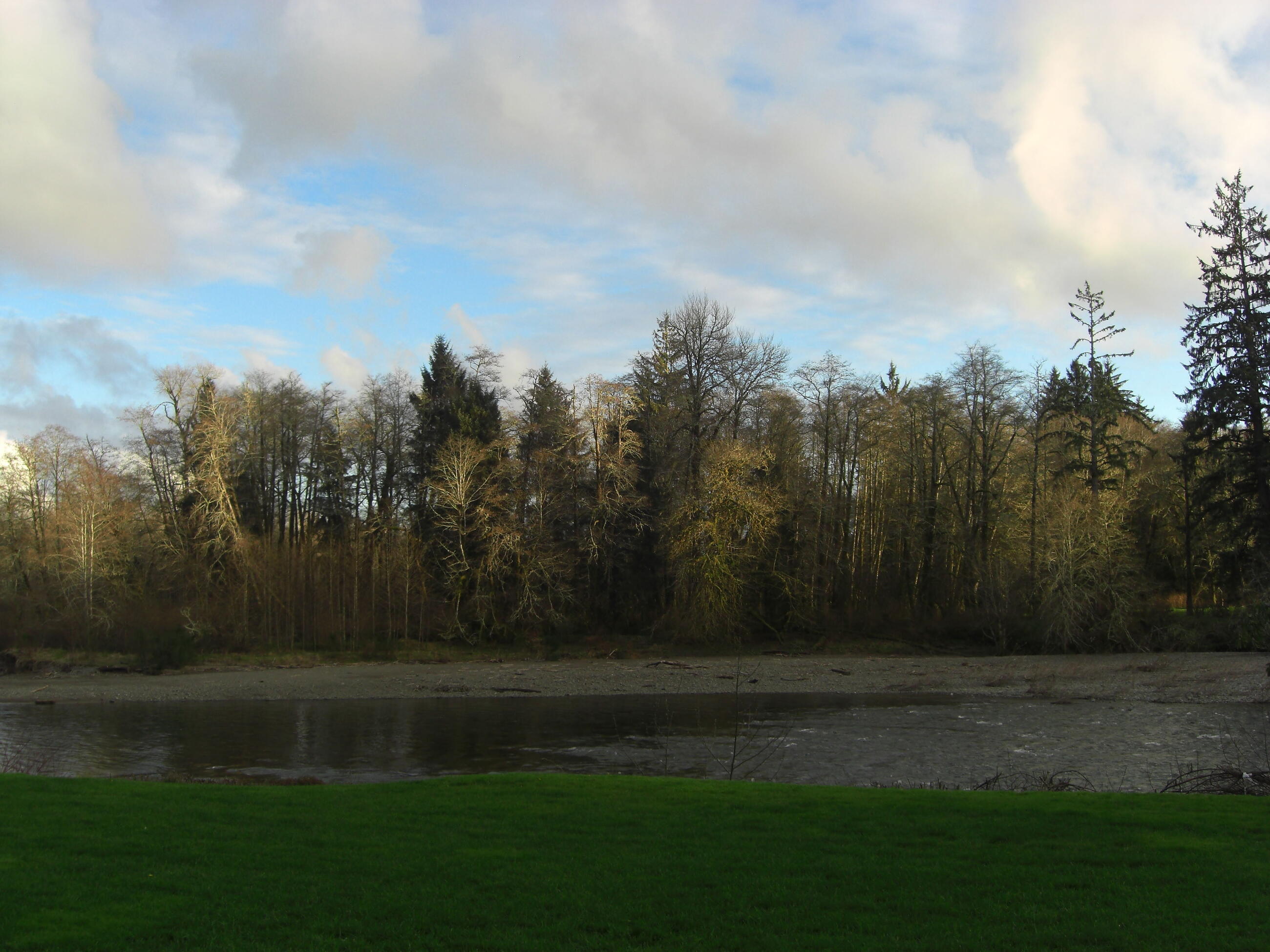 South bank of the Quillayute in November