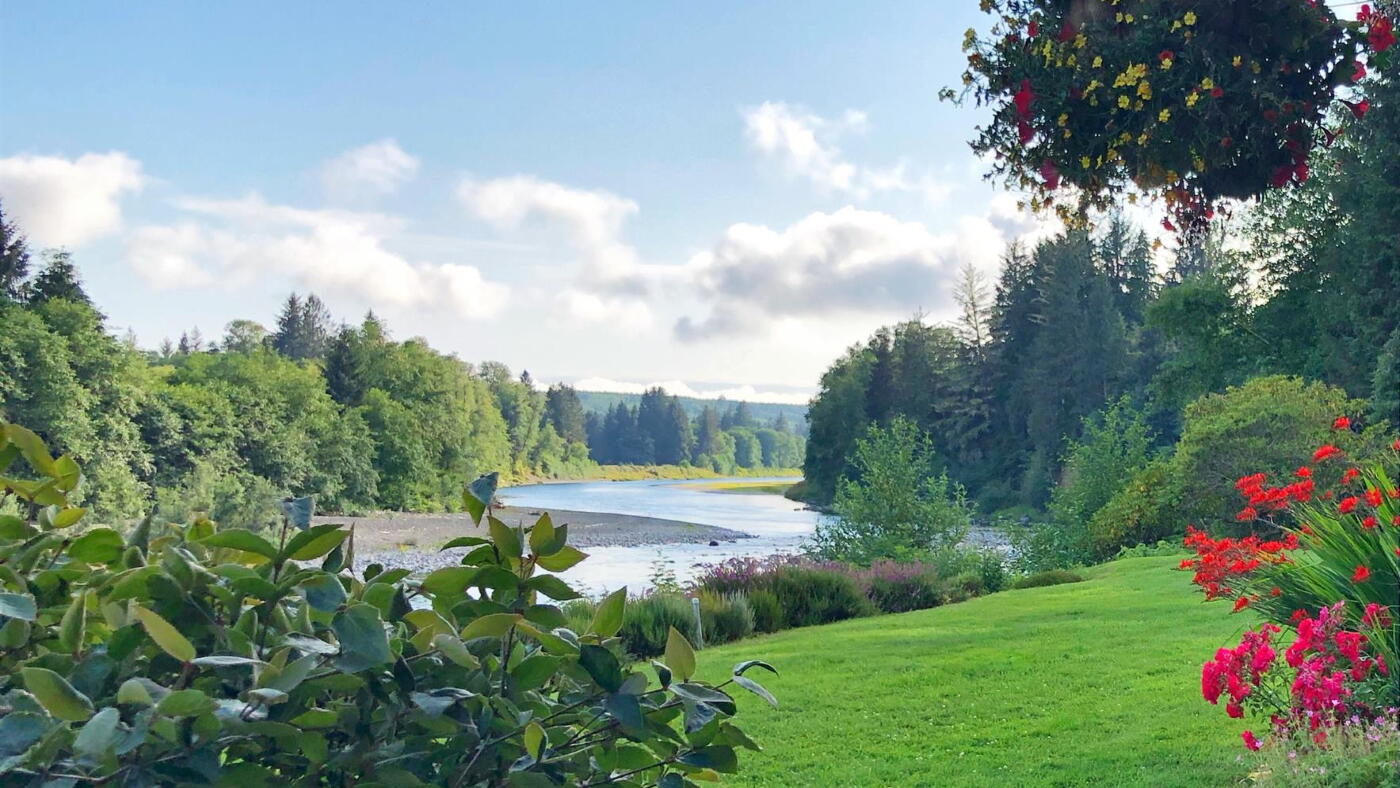 Summer time view downstream on the Quillayute